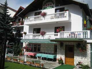 Гостевой дом Pension Raluca Синая-0